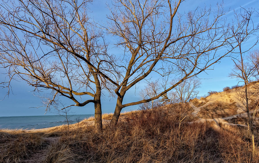 Indiana Dunes  Photograph by Chris Spencer
