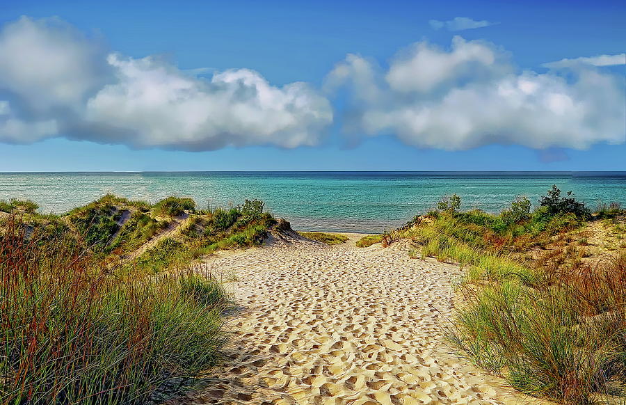 Indiana Dunes State Park by Anthony Dezenzio Indiana Dunes State Park by Anthony Dezenzio