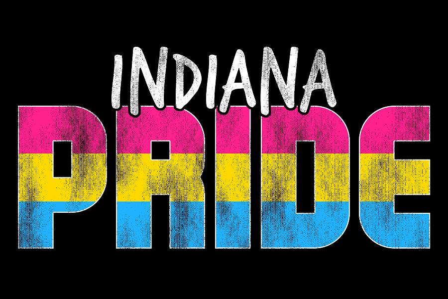 Indiana Pride Pansexual Flag Digital Art by Patrick Hiller Pixels