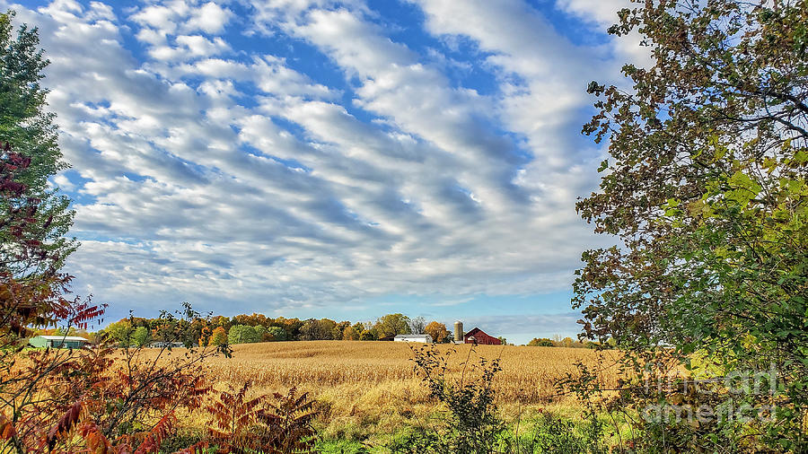 Indiana_Farm_Fall Photograph by Chris Spencer