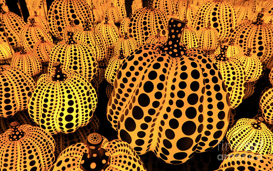 Infinity Photograph - Indianapolis Museum Of Art Kusama 7 by Steve Gass Infinity Photograph - Indianapolis Museum Of Art Kusama 7 by Steve Gass