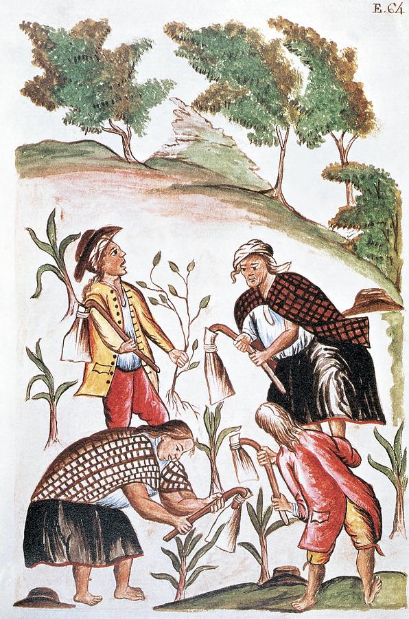 INDIANS PERFORMING AGRICULTURAL TASKS. Trujillo del Peru by Bishop Don Baltasar Martinez Campanon. Drawing by Album