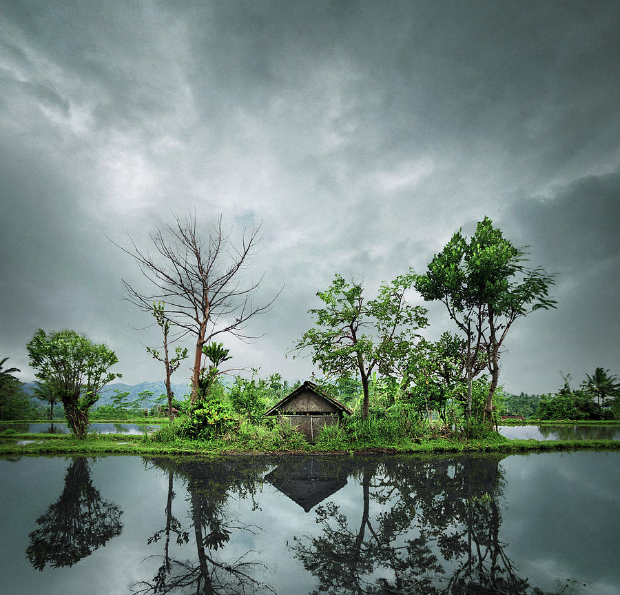 Indonesia, Bali, Shack In Rice Paddy Photograph by Ed Freeman