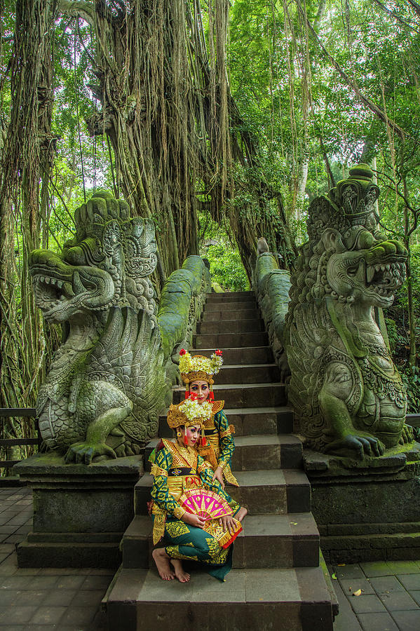 Indonesia, Bali, Ubud Photograph by Jaynes Gallery - Fine Art America