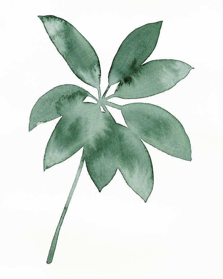 Botanicals Painting - Indoor Plant Press Iv by Grace Popp