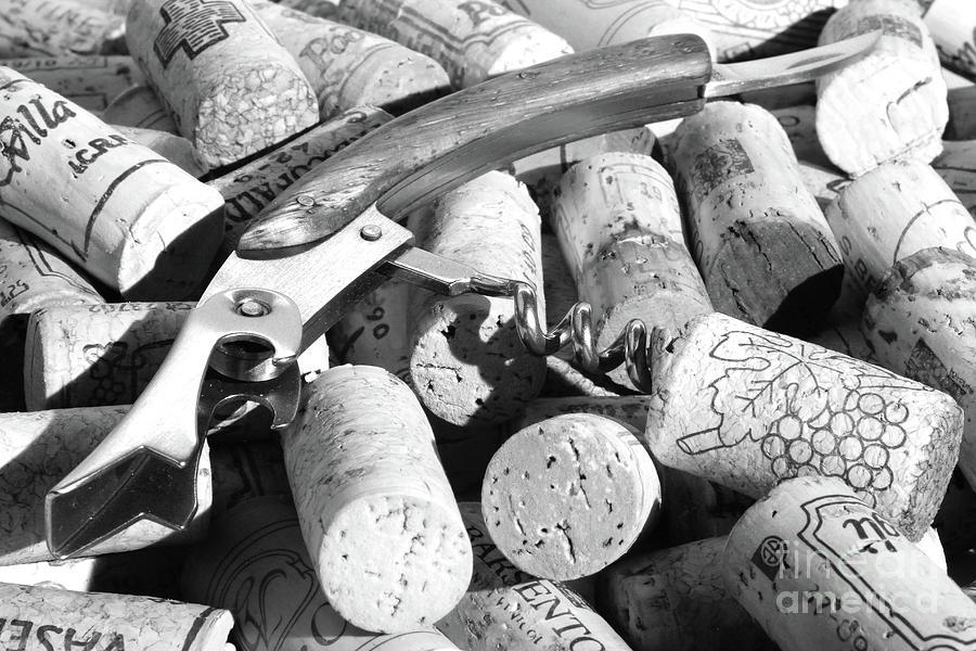 Wine - Corks and corkscrew Photograph by Stefano Senise