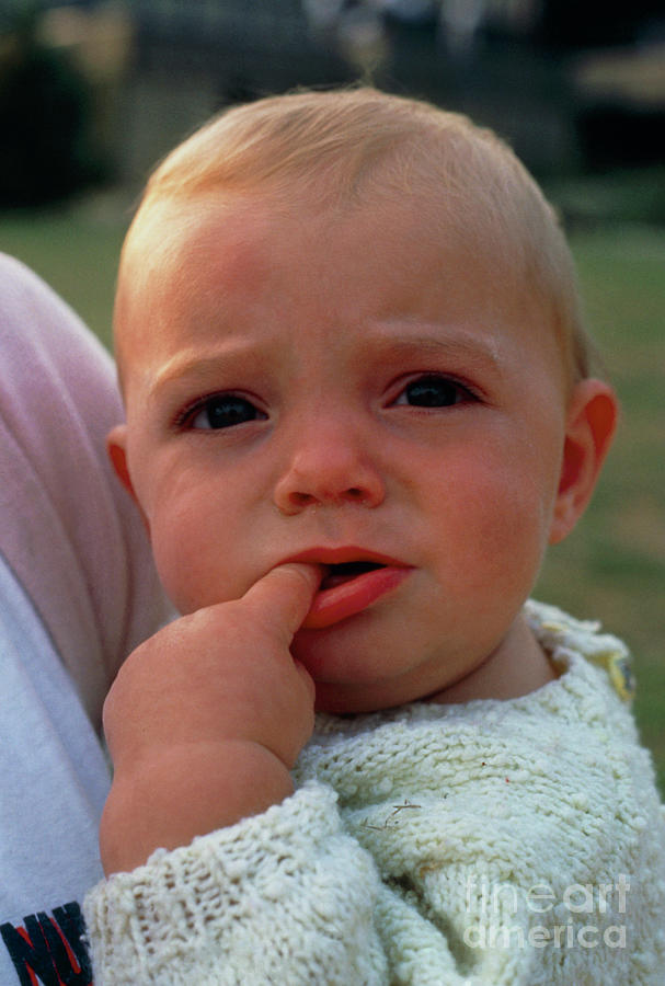 Infant Child Teething Photograph by Mark Clarke/science Photo Library ...