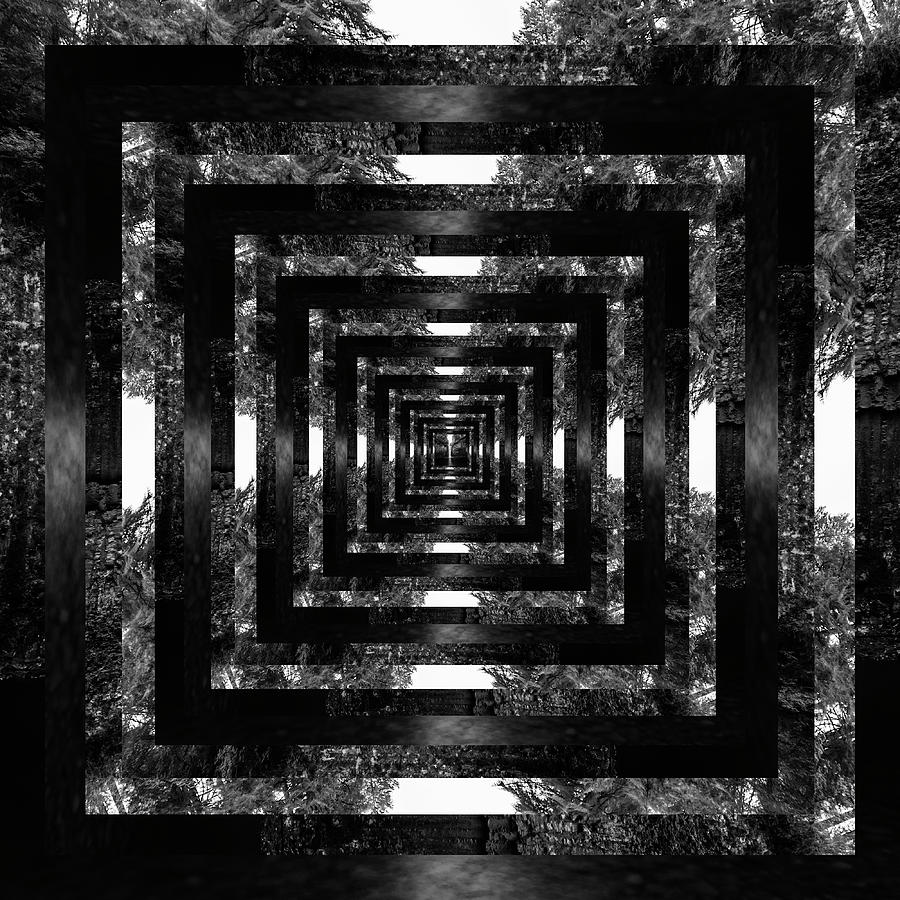 Infinity Tunnel Abiqua Falls Black and White Digital Art by Pelo Blanco Photo