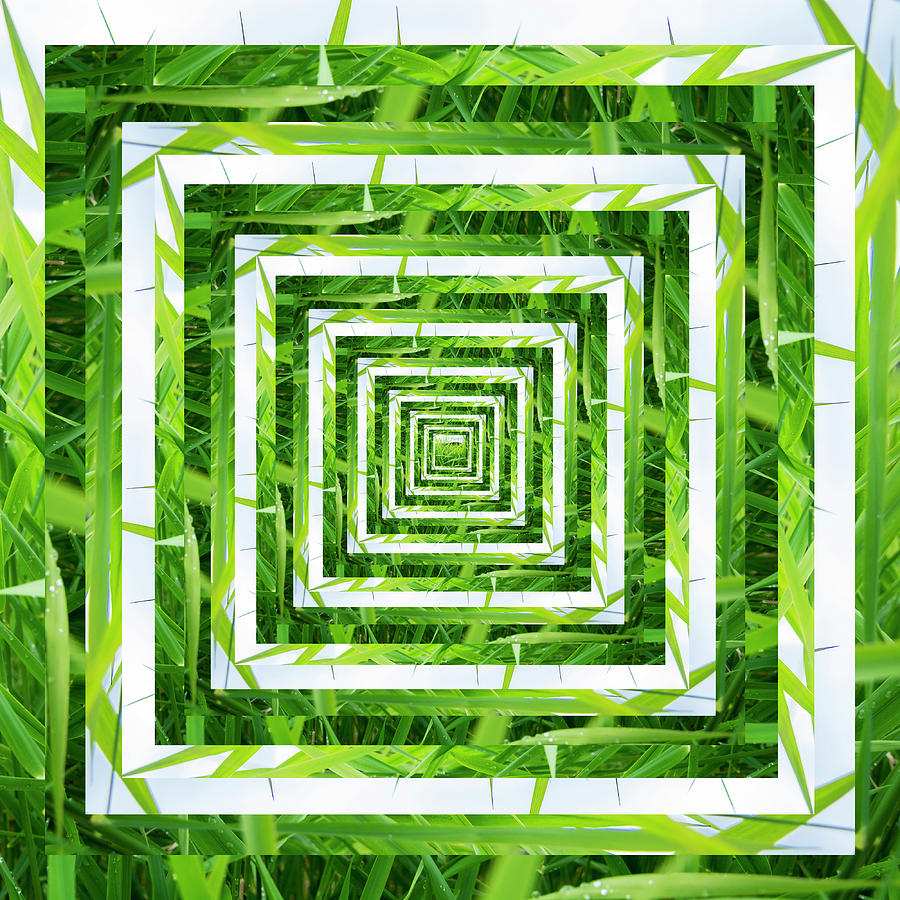 Infinity Tunnel Lake Grass Digital Art by Pelo Blanco Photo