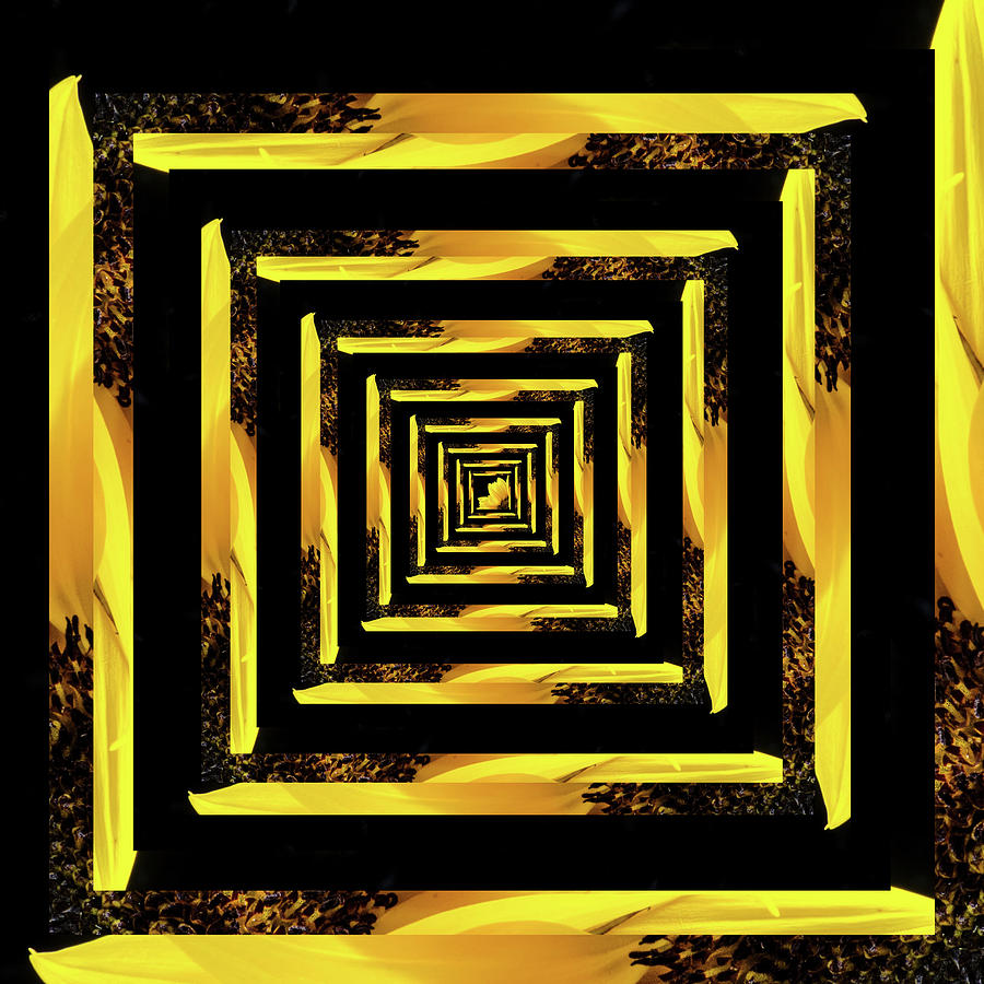Infinity Tunnel Sunflower Digital Art