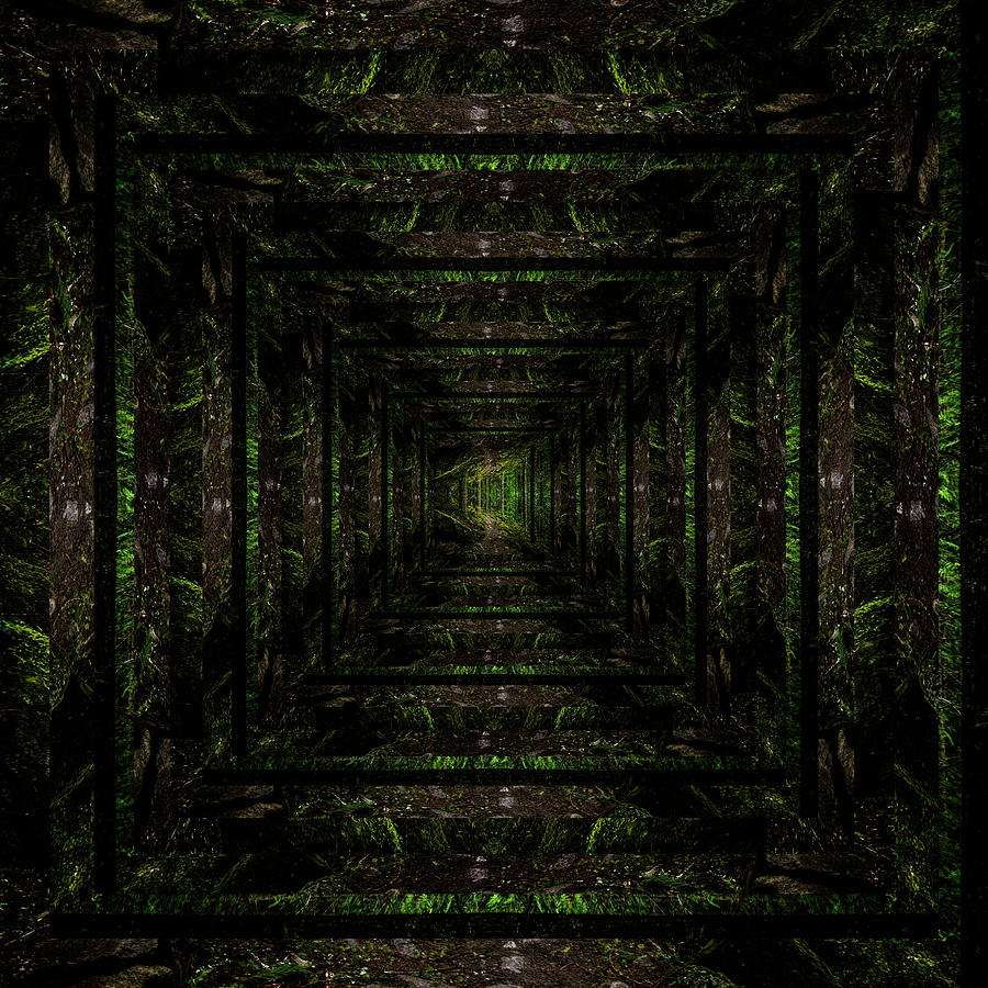 Infinity Tunnel Wooded Trail Reflection Digital Art by Pelo Blanco Photo