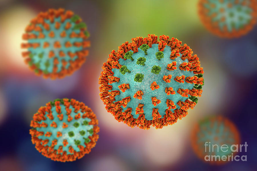 Influenza Virus H3n2 Photograph by Kateryna Kon/science Photo Library