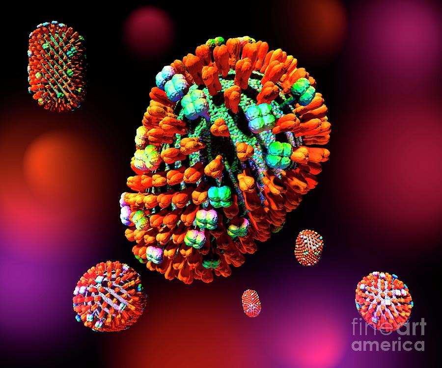 Influenza Virus Particles Photograph by Russell Kightley/science Photo Library