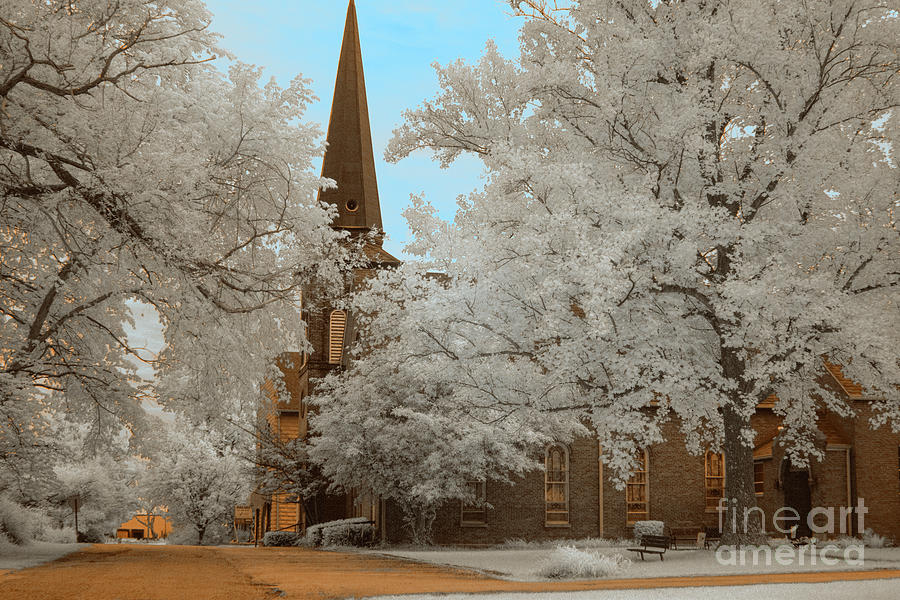 Infrared Art Photograph by FineArtRoyal Joshua Mimbs