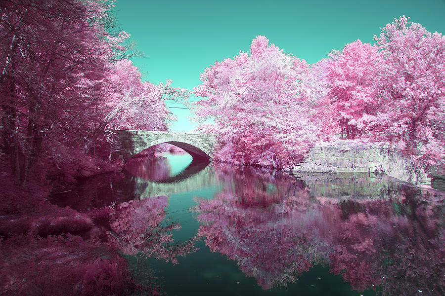 Infrared Bridge Photograph by Brian Hale