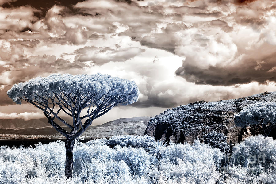 Infrared Clouds over the Hills Sorrento Photograph by John Rizzuto