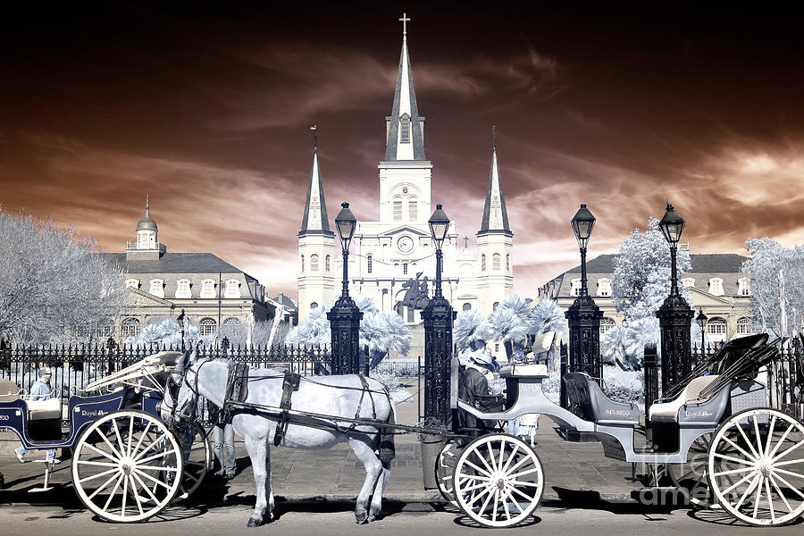 Infrared New Orleans Wonders Photograph by John Rizzuto
