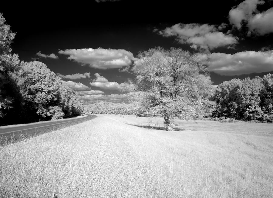 Infrared photograph of the Natchez Trace Parkway, Mississippi Painting by Carol Highsmith