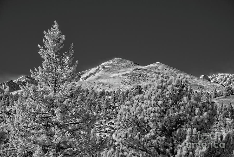 Infrared picture of the Rocky Mountains outside of Boulder, Colo ...