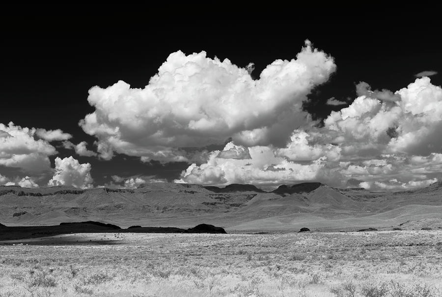 Infrared Texas Desert Photograph by Austinartist
