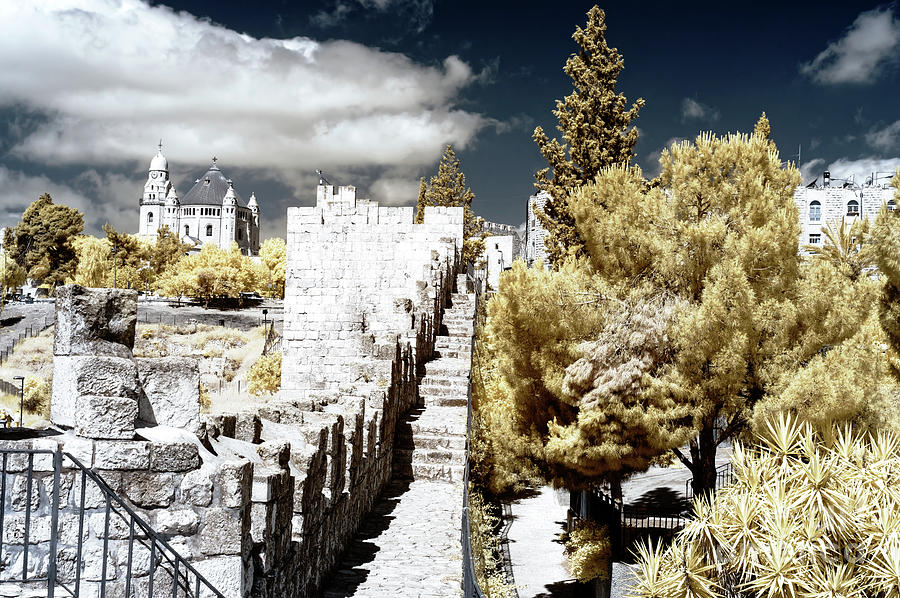 Infrared Trees Along the Ramparts in Jerusalem Photograph by John Rizzuto