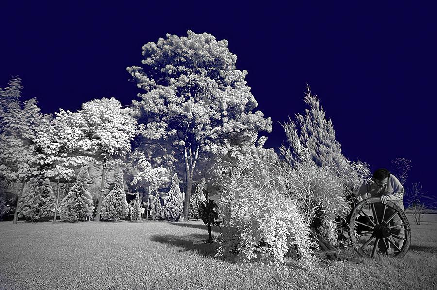 Infrared Photograph - Infrared World_04 by Nebula
