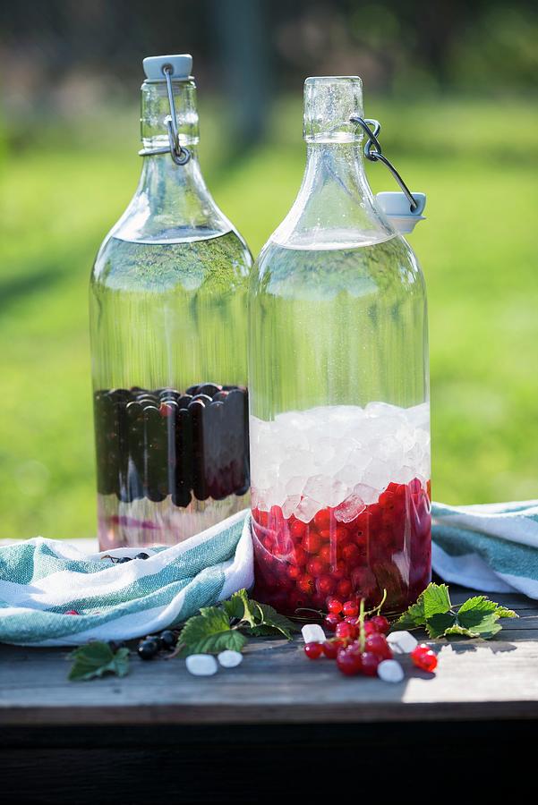 Ingredients For Black And Red Currant Liqueur With Rock Candy Photograph by Kati Neudert