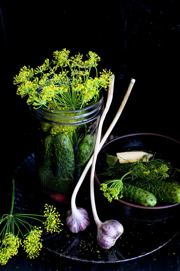 Ingredients For Pickled Gherkins: Gherkins, Dill And Garlic Photograph by Lilia Jankowska