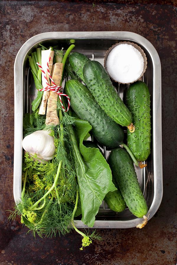 Ingredients For Sour Cucumbers: Cucumbers, Garlic, Horseradish Roots And Leaves, Dill And Salt Photograph by Rua Castilho