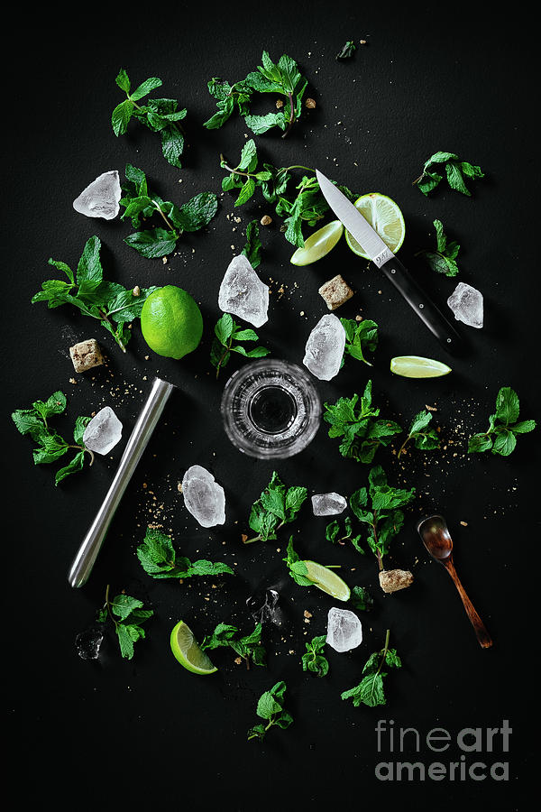 Ingredients, Mojito Photograph by Food Director Mackinpo