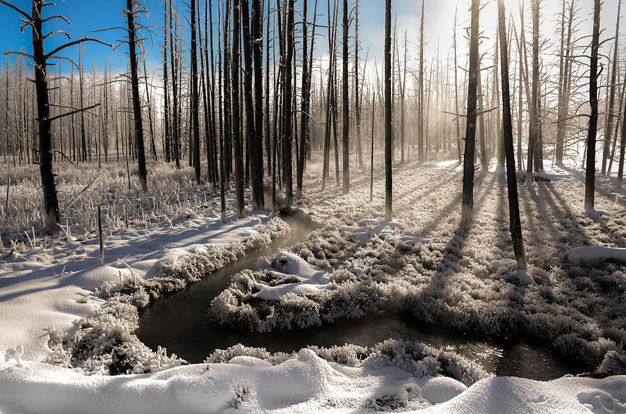 Yellowstone National Park Photograph - Inhale The Winter by Karen Wiles