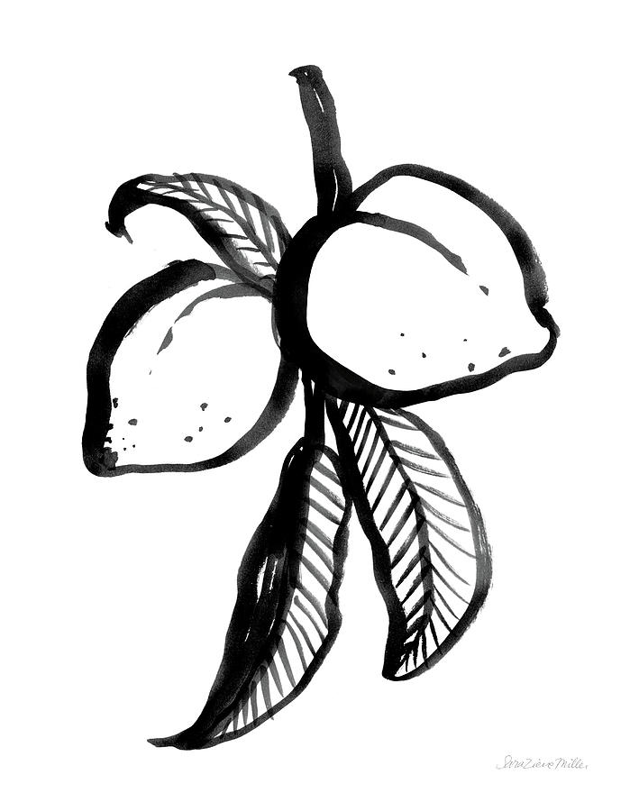 Black And White Drawing - Ink Peaches by Sara Zieve Miller