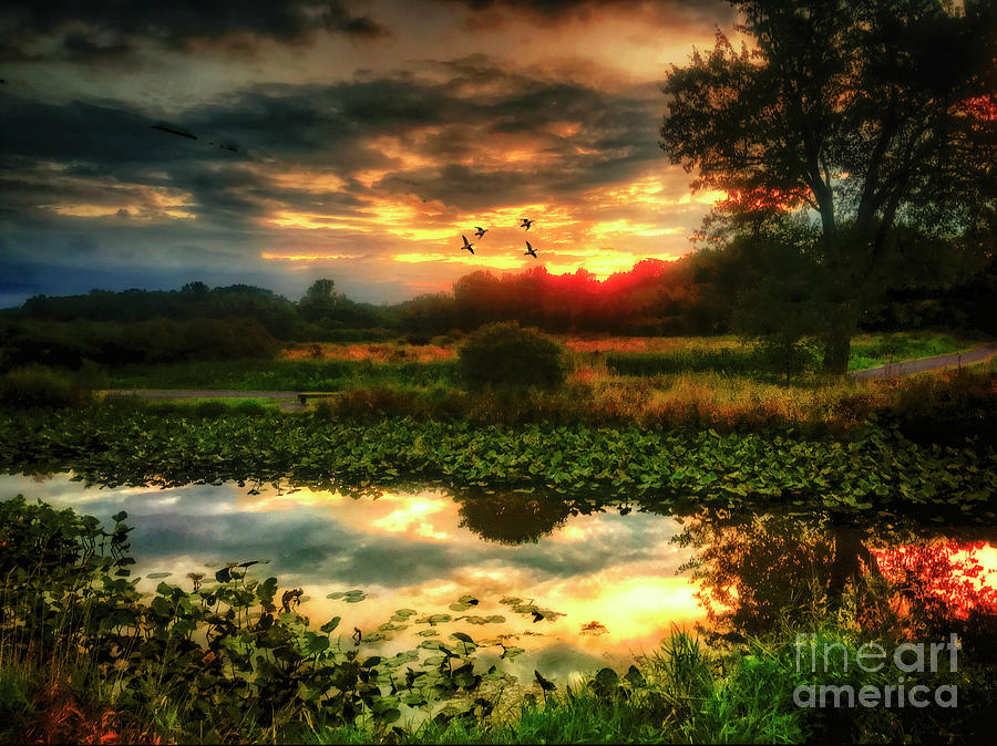 Inlet Dawn Chippewa Lake Ohio by Robert Gardner