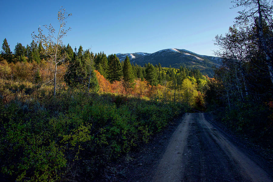 Inman Pass Photograph by Dan Kinghorn - Fine Art America