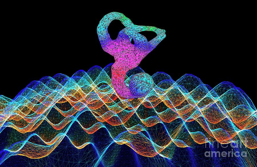 Inner Ear And Sound Waves Photograph by K H Fung/science Photo Library