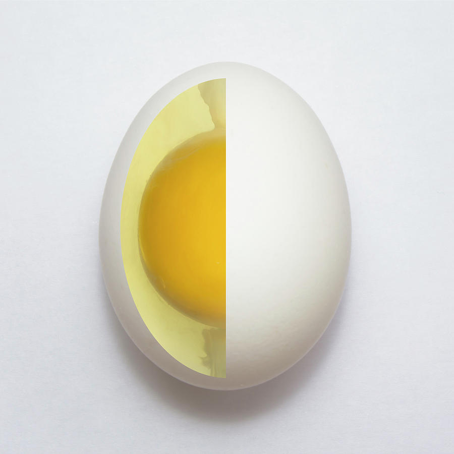 Inner Egg Photograph by Adelino Alves