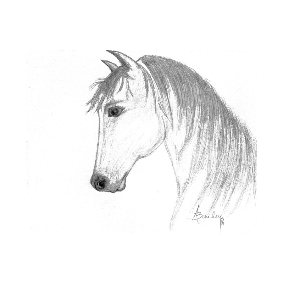 Inquisitive - Horse Art by Annette Bailey Art Print Drawing by Annette ...