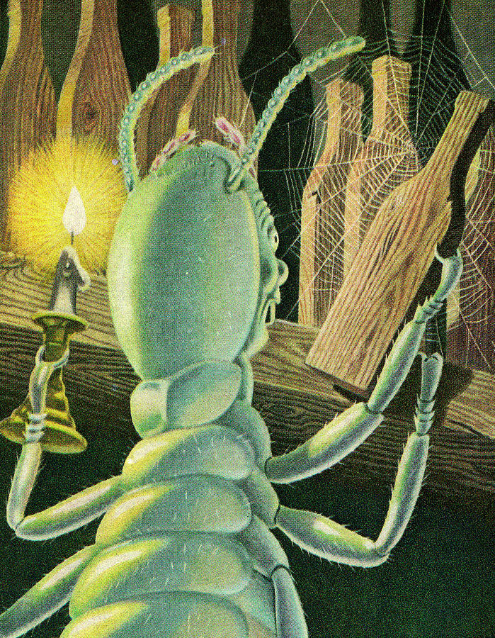 Vintage Drawing - Insect Holding Candle by CSA Images