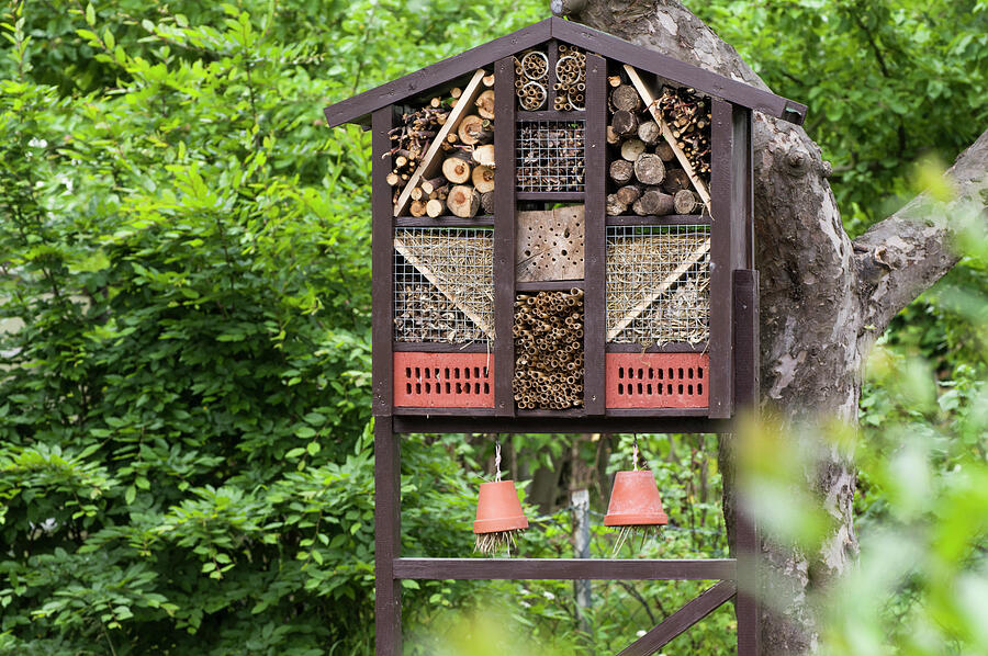 Insect Hotel In Garden Photograph by Dr. Karen Meyer-rebentisch - Fine ...