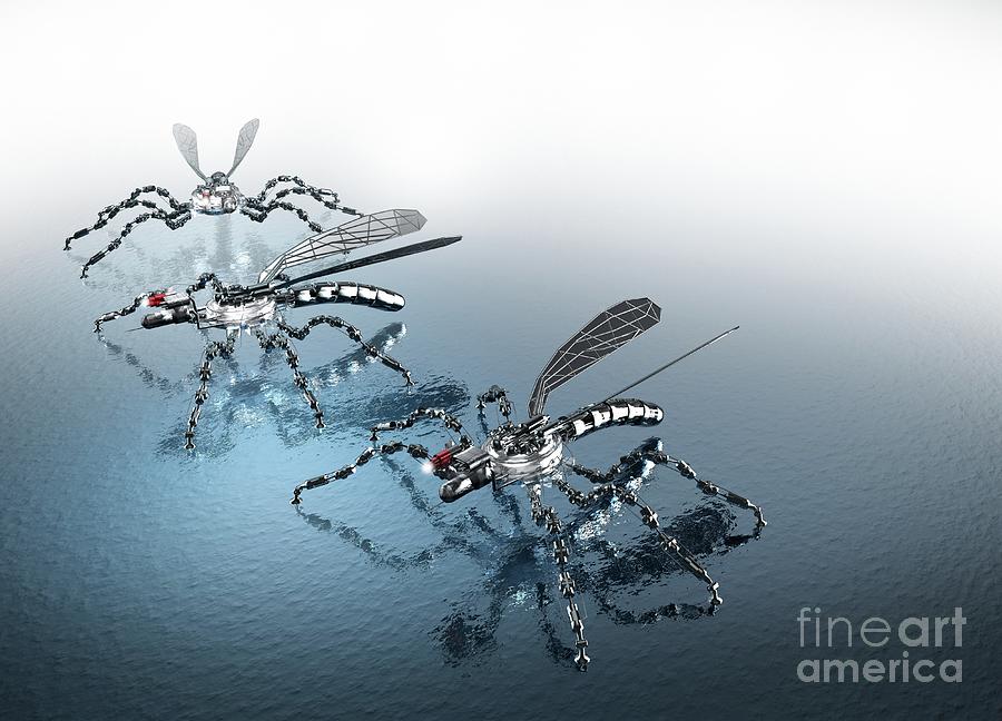 Insect Spy Drones by Science Photo Library