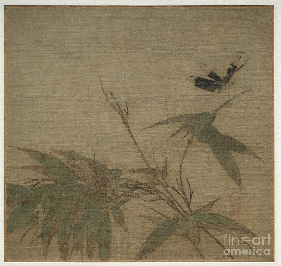 Insects And Bamboo Drawing by Heritage Images