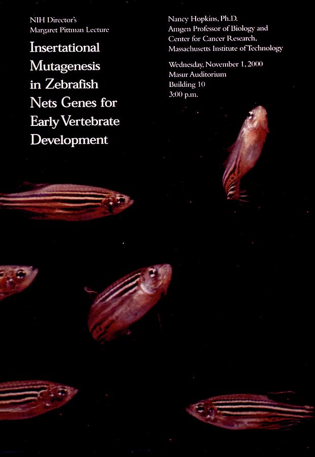 Insertational Mutagenesis In Zebrafish Nets Genes For Early Painting by National Institutes Of Health Insertational Mutagenesis In Zebrafish Nets Genes For Early Painting by National Institutes Of Health