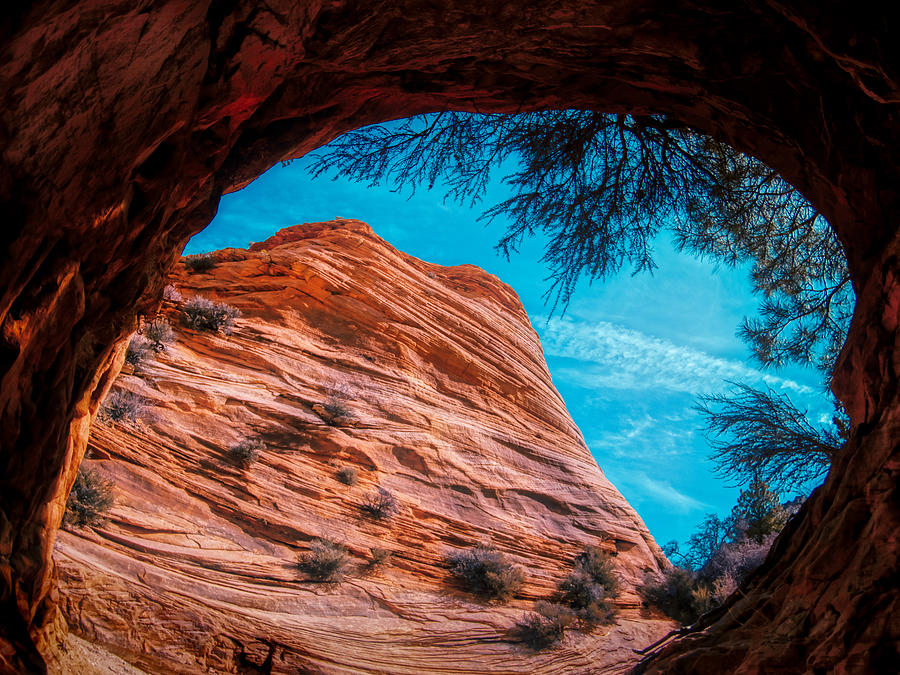 Zion National Park Photograph - Inside A Cave Of Zion National Park by Anchor Lee
