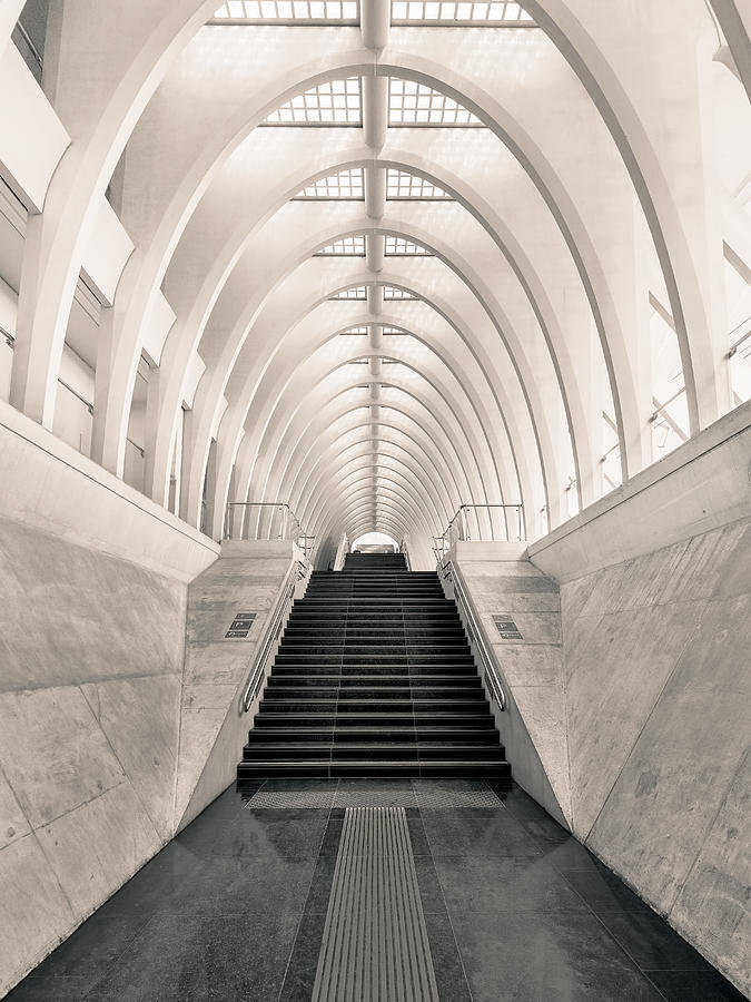 Architecture Photograph - Inside Calatrava by Oscar Lopez