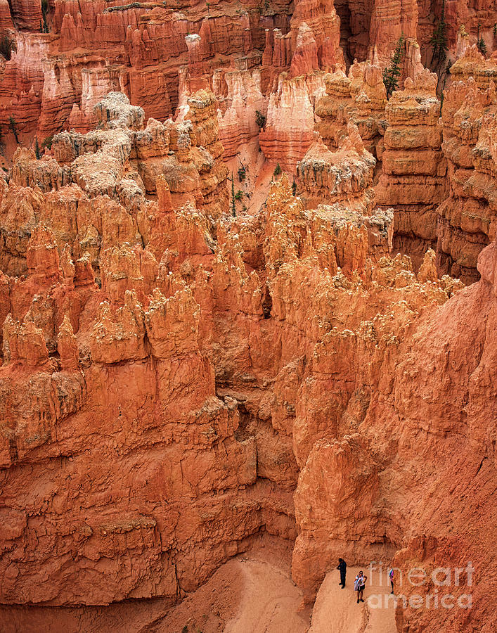 Inside of canyon Photograph by Izet Kapetanovic