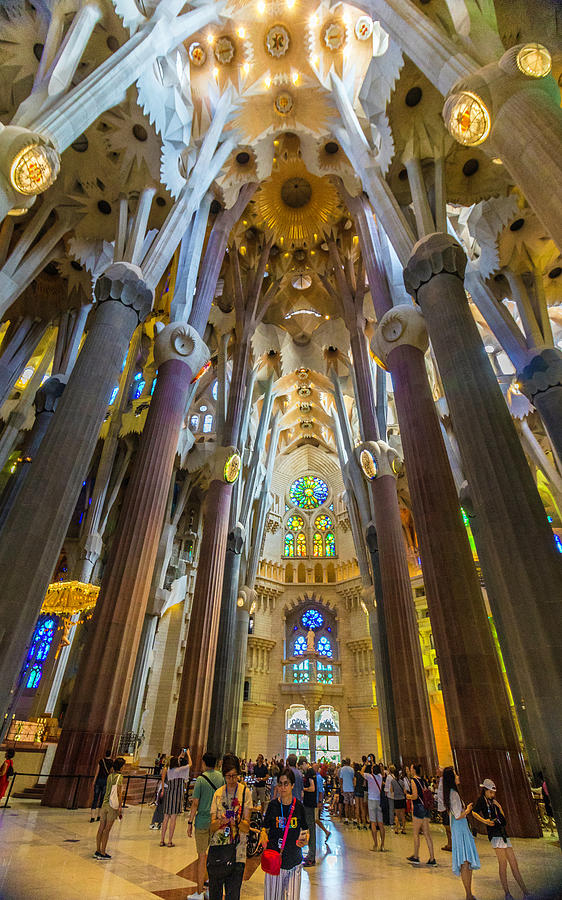 Inside the Sagrada Familia in Barcelona, Spain Photograph by Venetia Featherstone-Witty