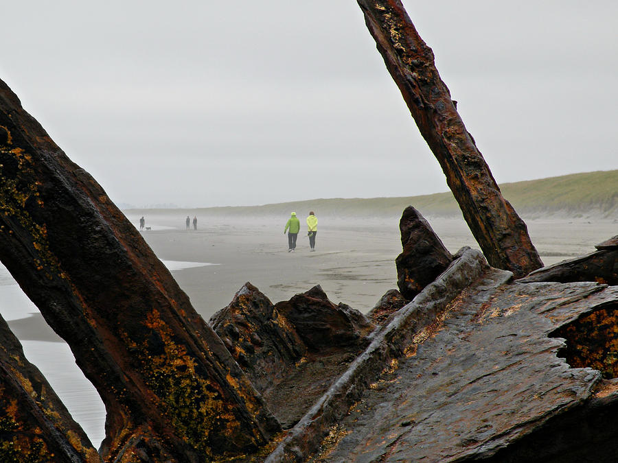 Inside the Shipwreck  Photograph by Micki Findlay