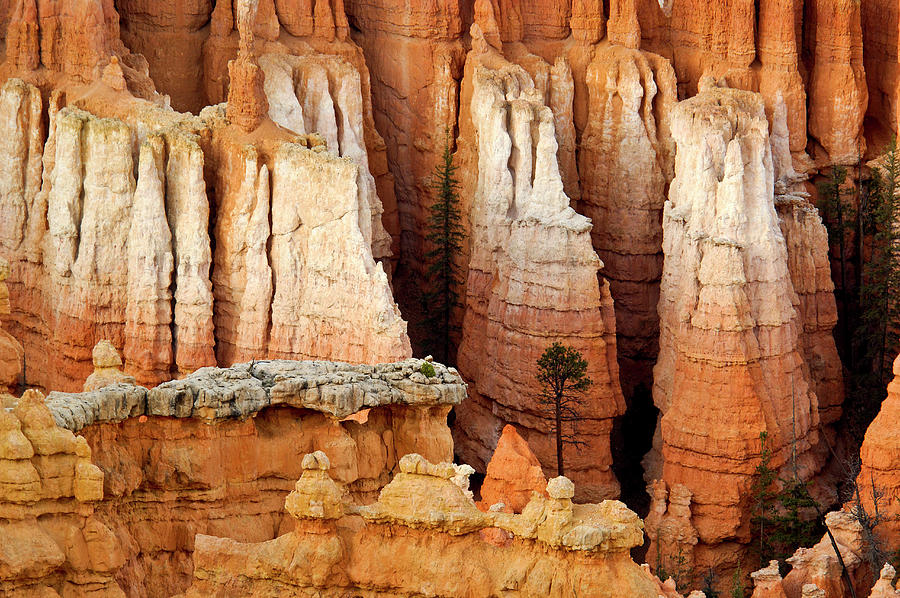 Inspiration Point, Bryce Canyon Np, Ut Photograph by Heeb Photos