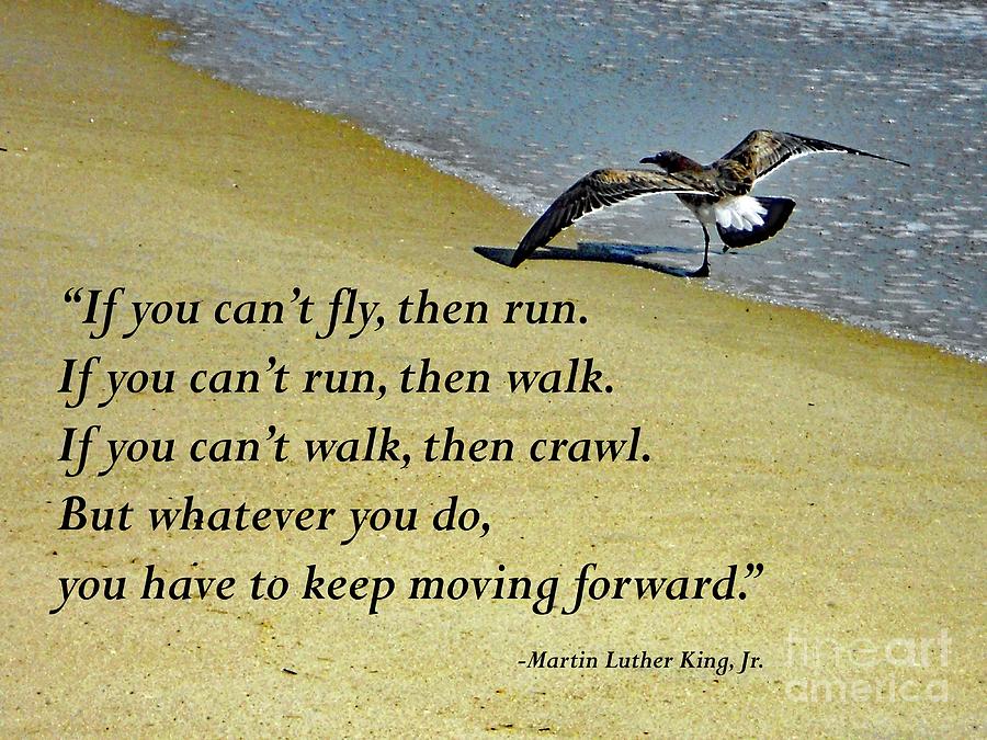 Nature Photograph - Inspirational Quote - Martin Luther King, Jr. by Cindy Treger