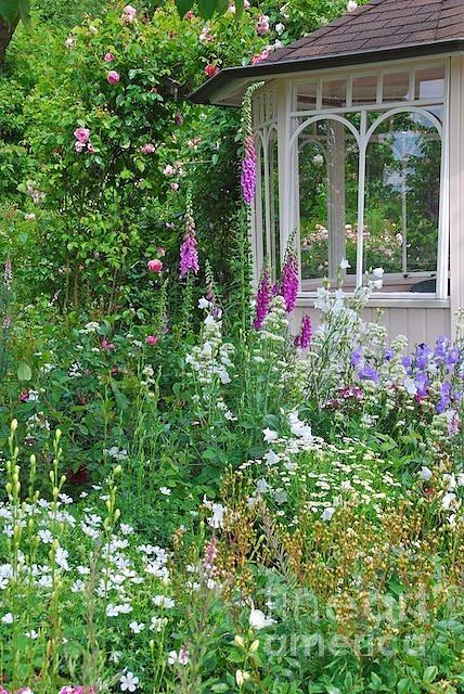 Inspired An English Garden...  Photograph by Lizzy Forrester